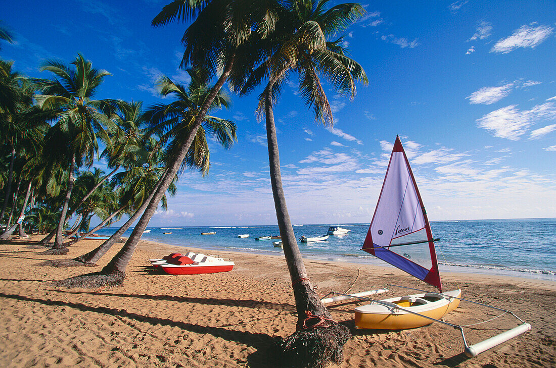 Kokospalmen und Boote auf Cacao Beach, Las Terrenas, Dominikanische Republik, Karibik, Amerikas