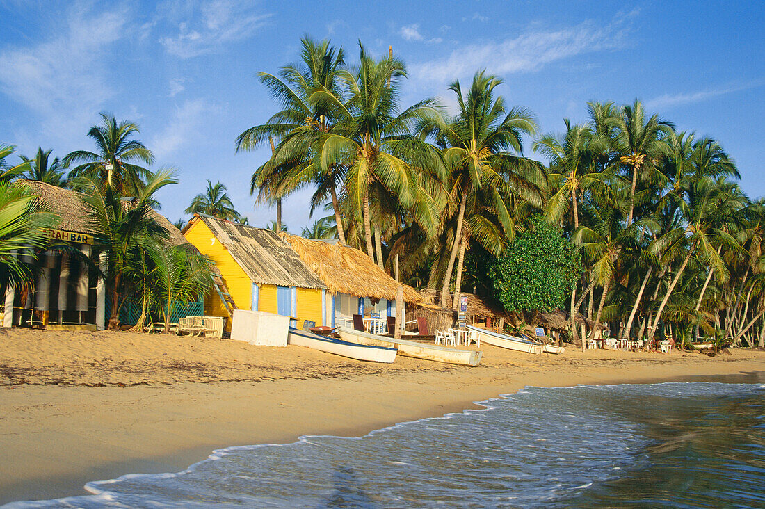 Palmen und Fischer-Hütten am Strand, Pueblo de los Pescadores, Las Terrenas, Dominikanische Republik, Karibik, USA