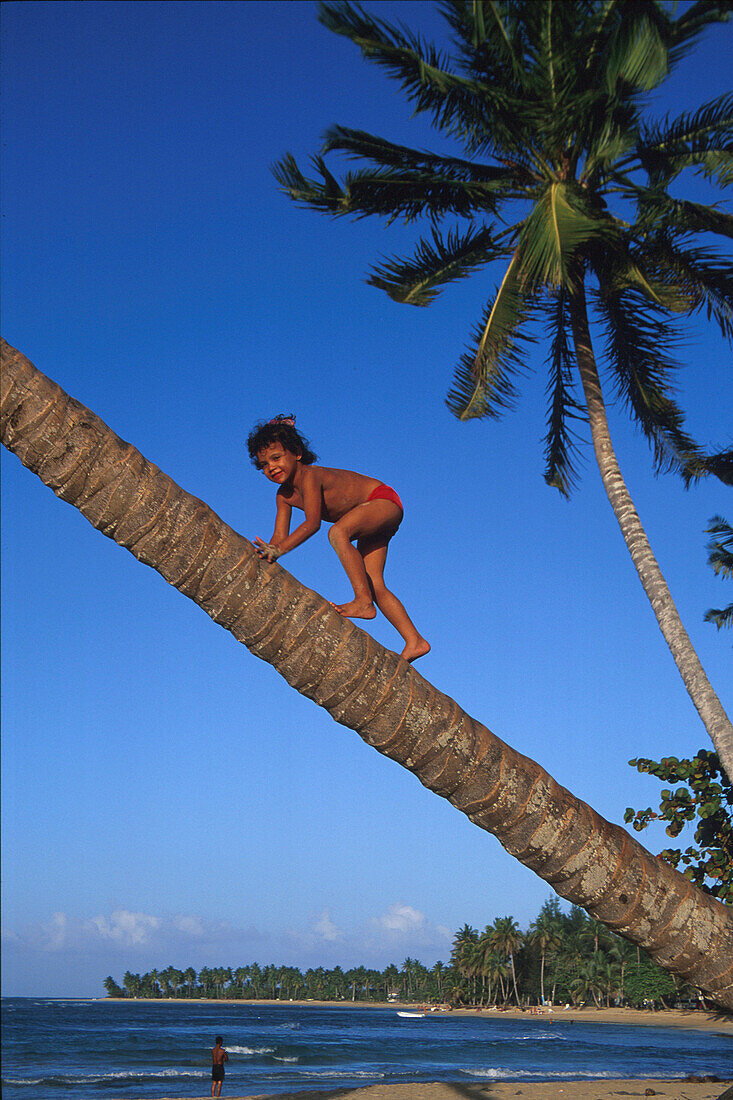Child climbing a palm tree, Caribbean, America