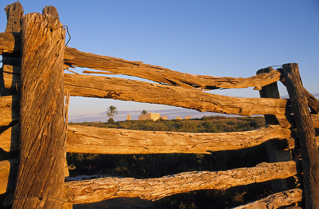 Alter Holzzaun, Ruinen von Dalhousie, Witjira Nationalpark, Simpson Wüste, Südaustralien, Australien