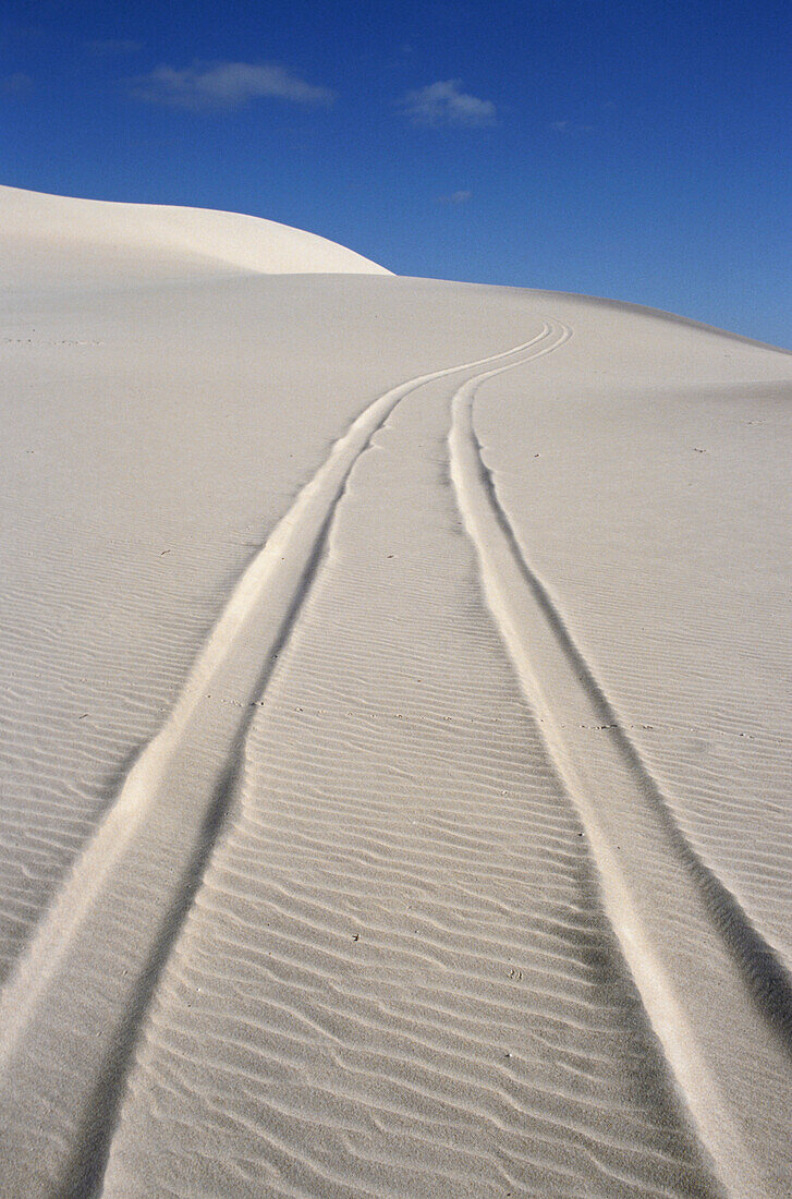 Tyre tracks in white sand dune, Spuren, Australia, vehicle tracks in sand, Reifenspuren im Sanddüne