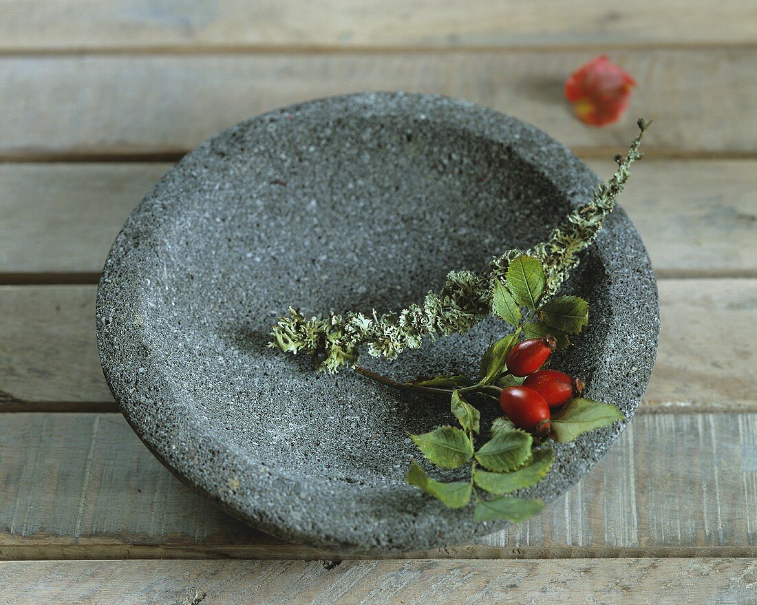 A sprig of rosehips in a stone bowl