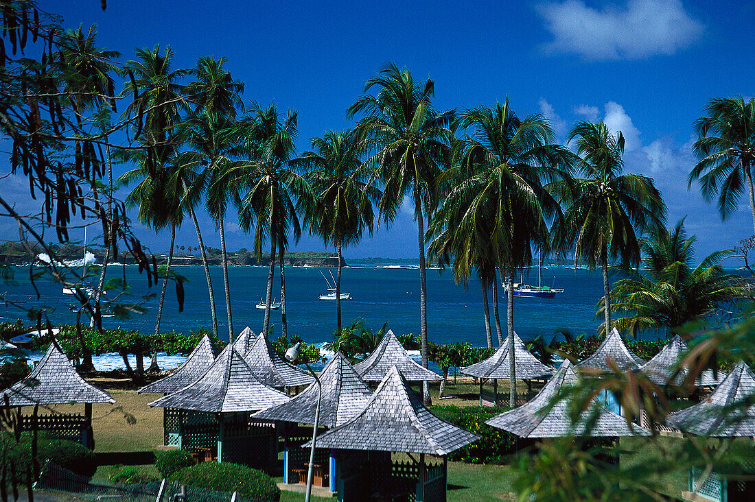 Hotel facilities, Mt. Irvine Bay, north coast, Tobago, West Indies, Caribbean