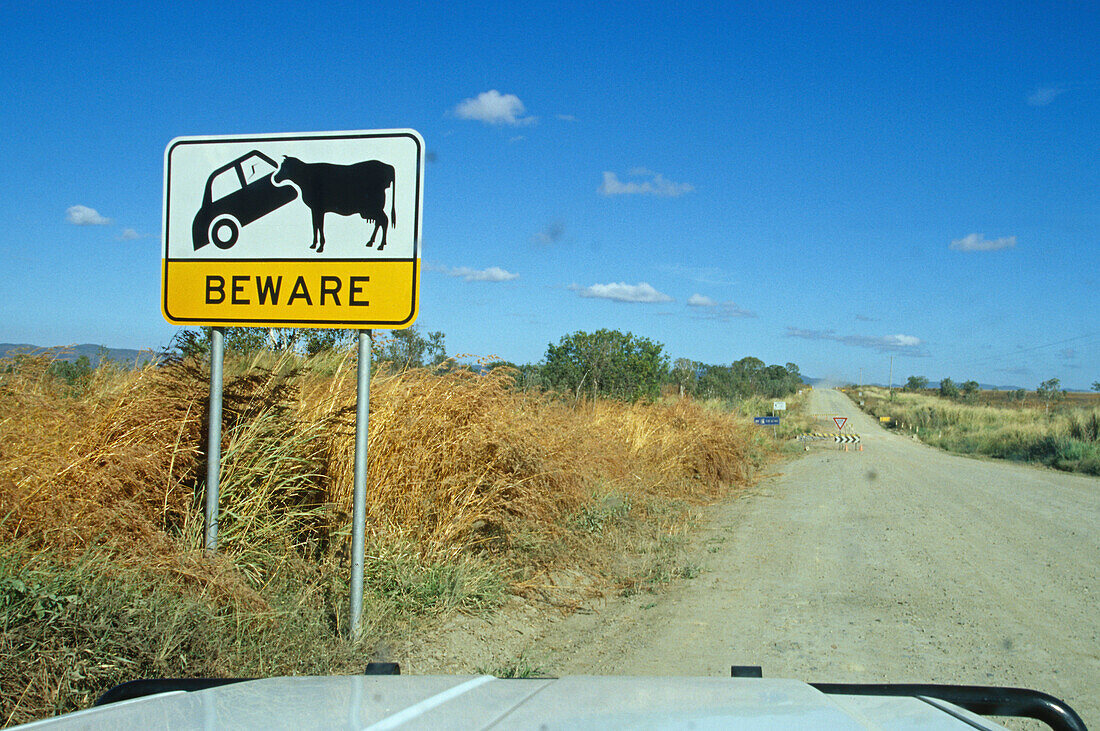 Outback sign warning cattle might be on the road, dirt road, Australia