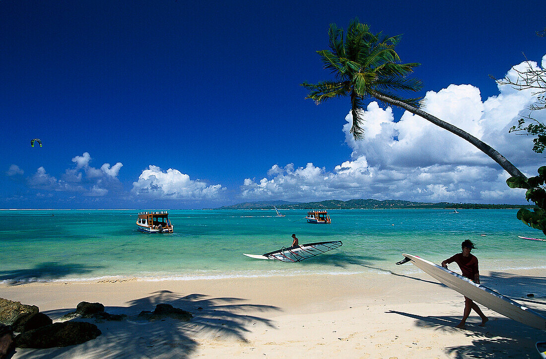 Palmenstrand, Kokospalmen, Windsurfing, Pigeon Point, Tobago, West Indies, Karibik