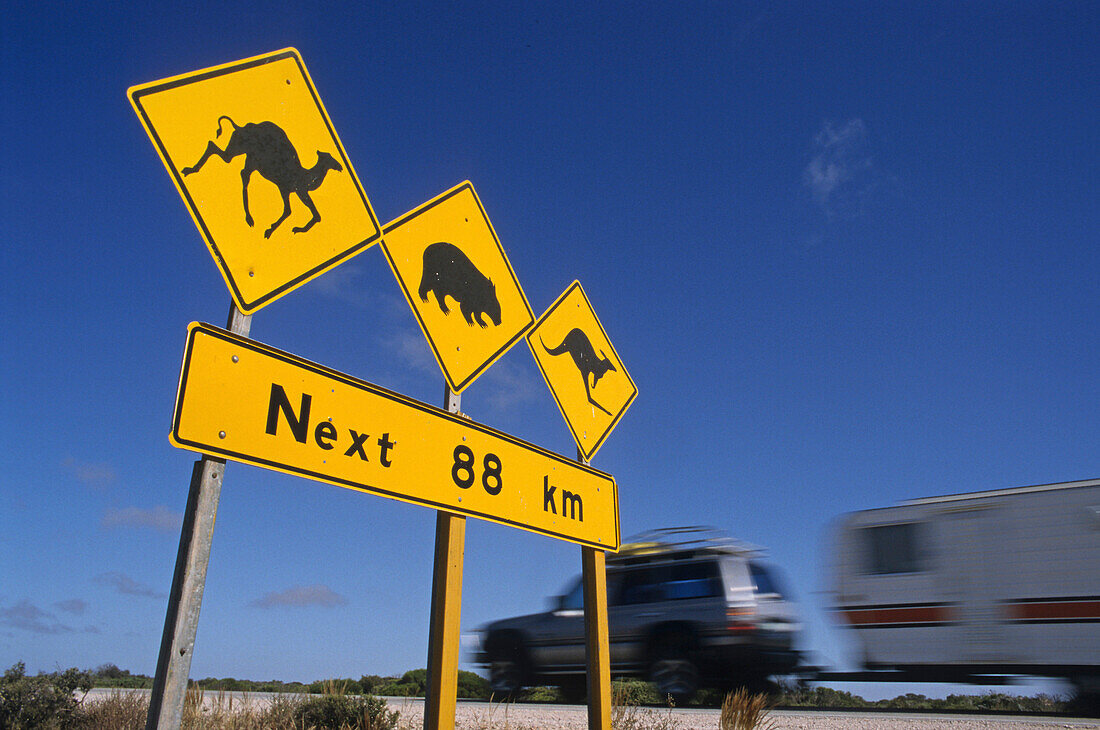Outback highway sign warning camels, wombats and kangaroos might be on the road, Queensland, Australia