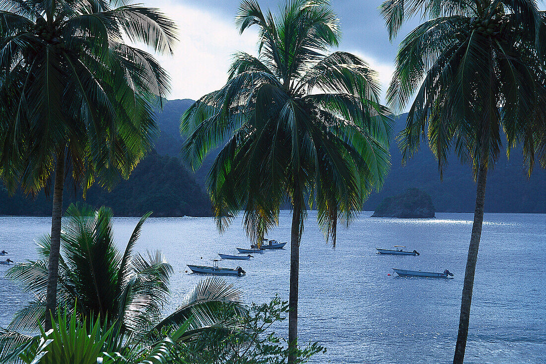 Pirate´s Bay bei Charlotteville, Tobago, West Indies, Caribbean