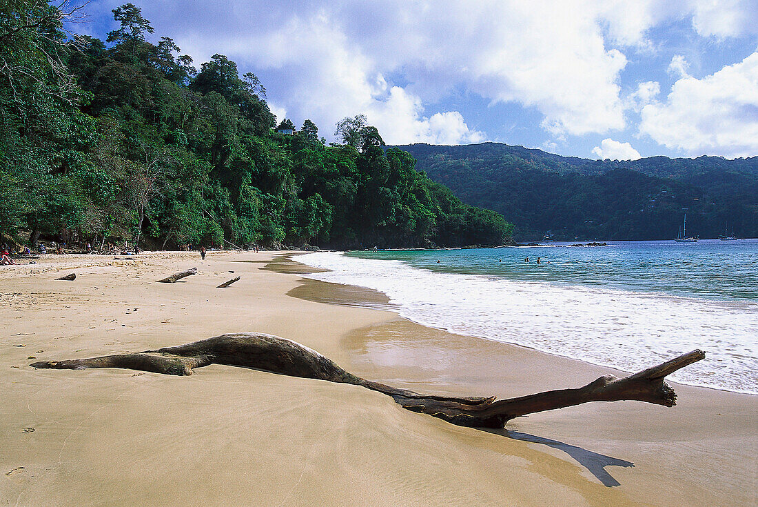Sandy beach, Pirate´s Bay, near Charlotteville, Tobago, West Indies, Caribbean