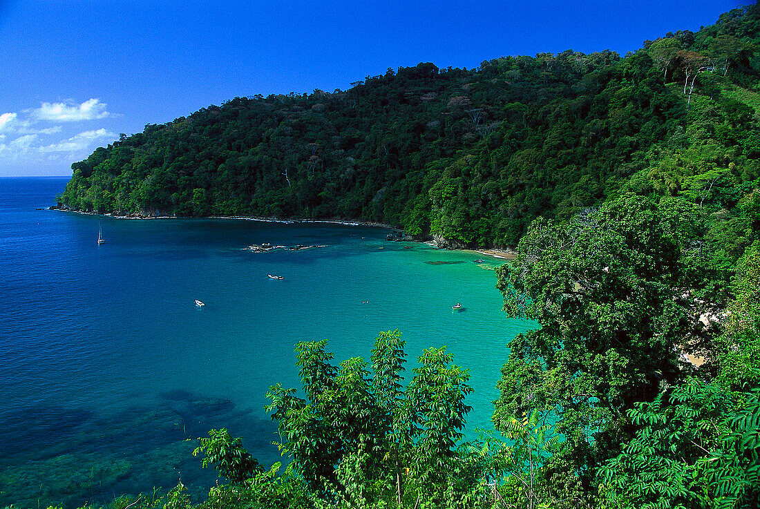 Pirate´s Bay, near Charlotteville, Tobago, West Indies, Caribbean