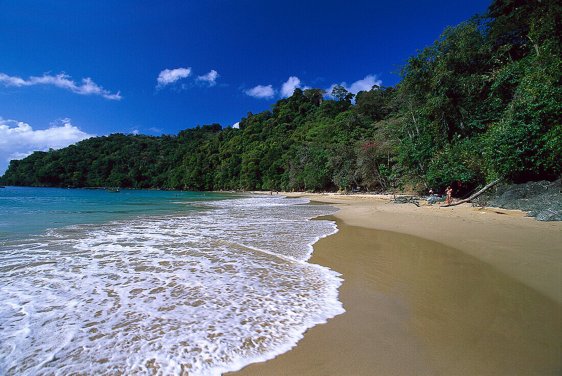 Sandstrand, Pirate´s Bay, bei Charlotteville, Tobago, West Indies, Karibik