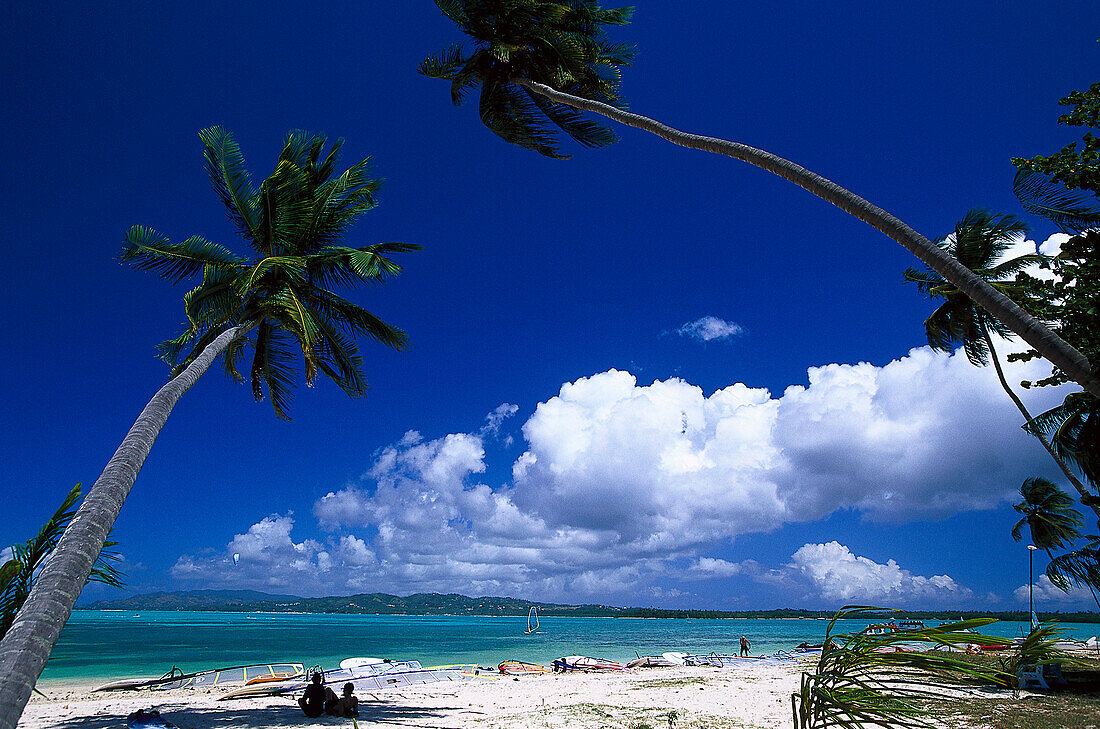 Palmenstrand, Kokospalmen, Windsurfen, Pigeon Point, Tobago, West Indies, Karibik