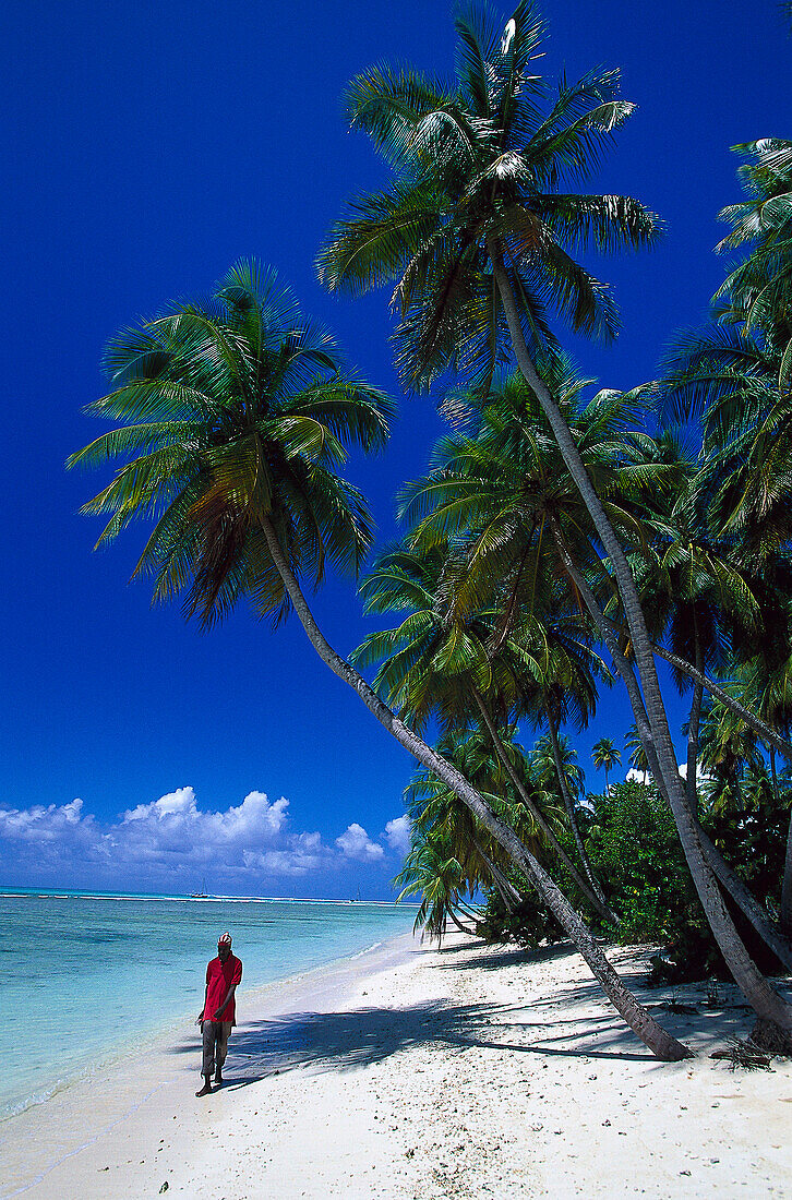 Palmenstrand, Kokospalmen, Pigeon Point Tobago, West Indies, Karibik
