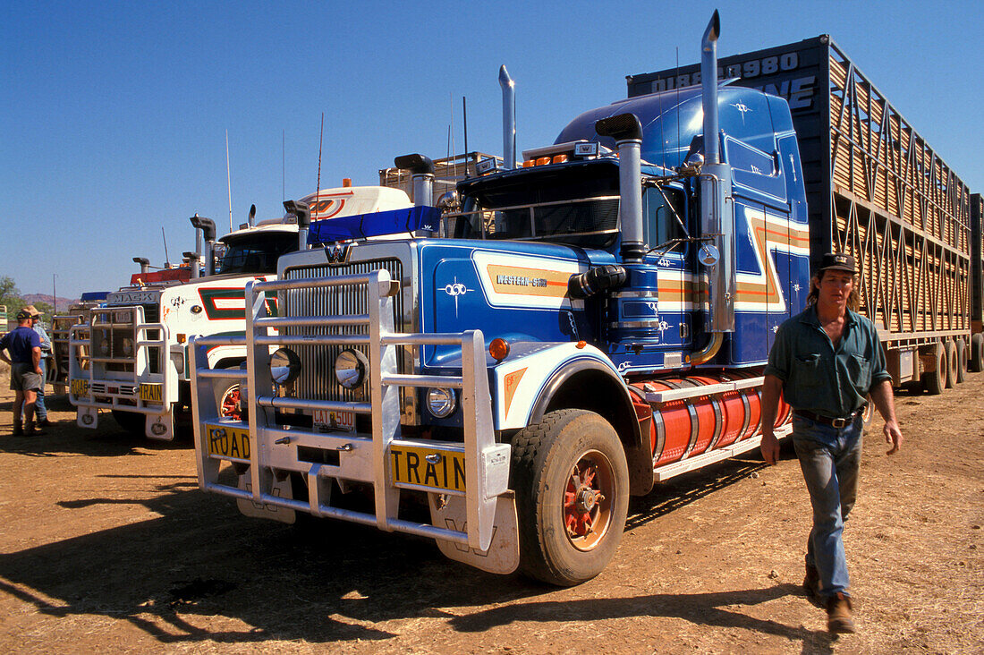 Tierstransport, Verladen von Rindern, Lansdowne Station, Kimberley, Westaustralien, Australien