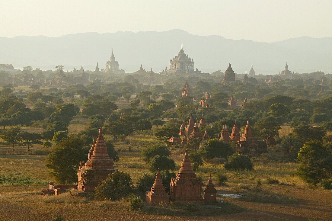 Sunset over the temples of Bagan, Sonnenuntergang ueber Pagan, Ruinenfeld von tausenden Pagoden, Weltkulturerbe