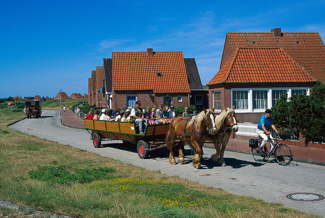 Horse-drawn carriage, Juist, East Frisian Islands, East Frisia, Lower Saxony, Germany