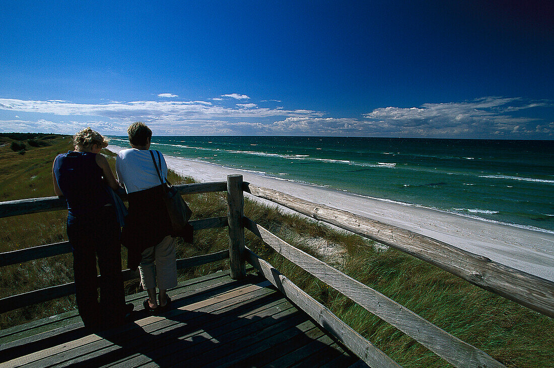 High Dune, Zingst, Fischland-Darss-Zingst, Mecklenburg-Vorpommern, Germany