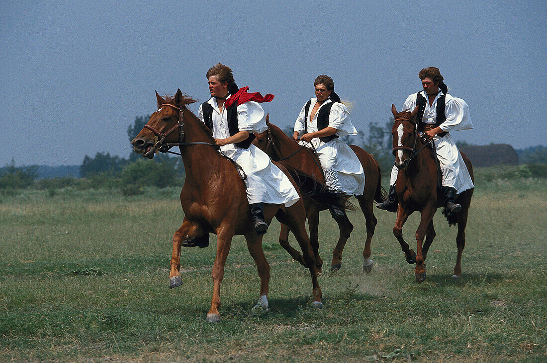 Three people riding horses in traditional clothes, Tradition, Puszta, Hungary