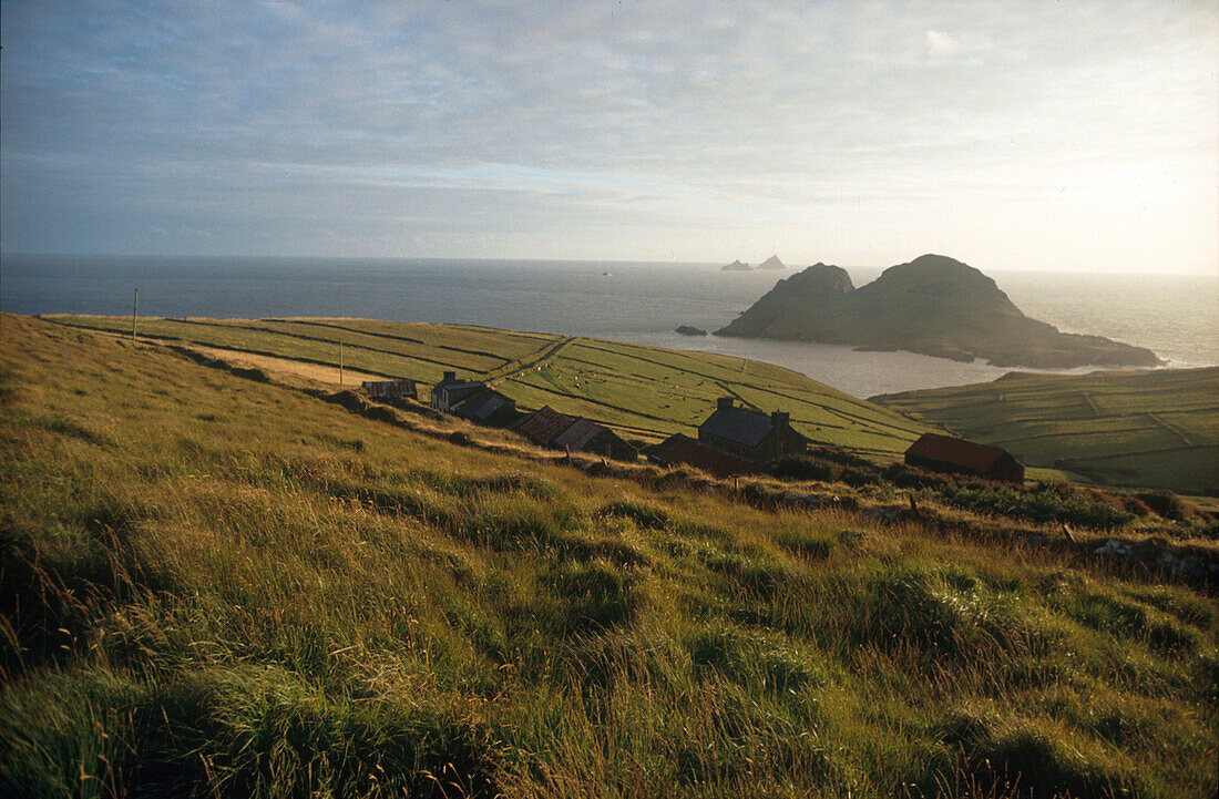 Puffin Island, Skellig Rock, County Kerry, Ireland