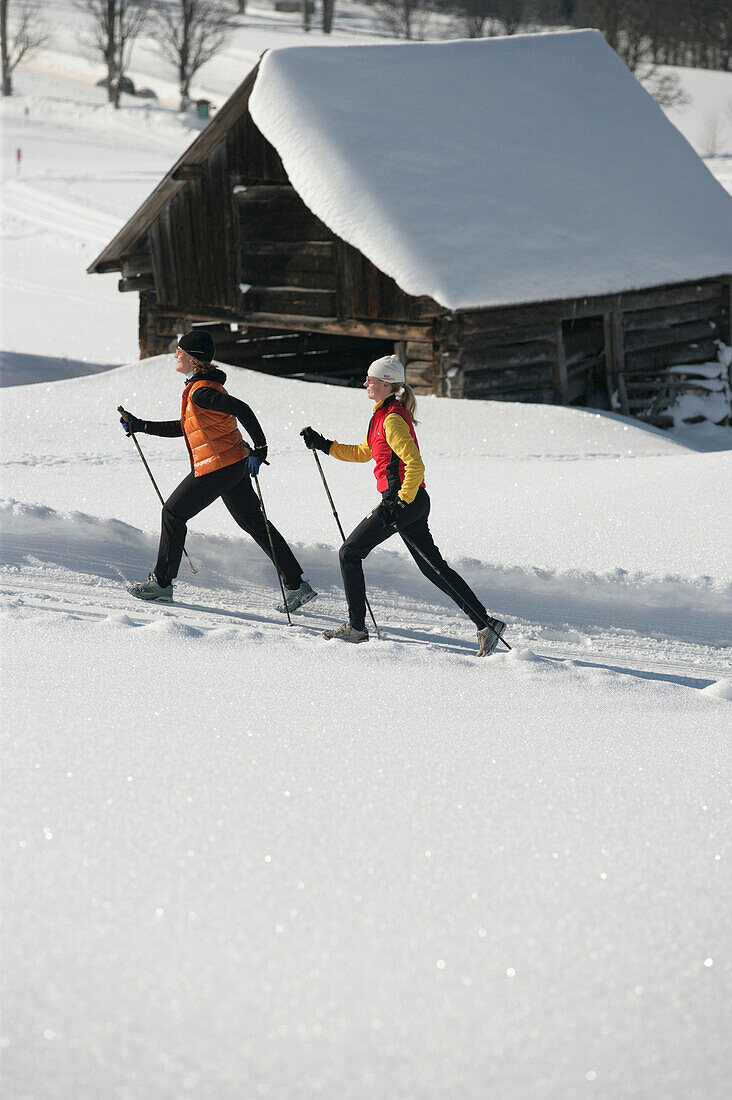 Frauen beim Nordic Walking