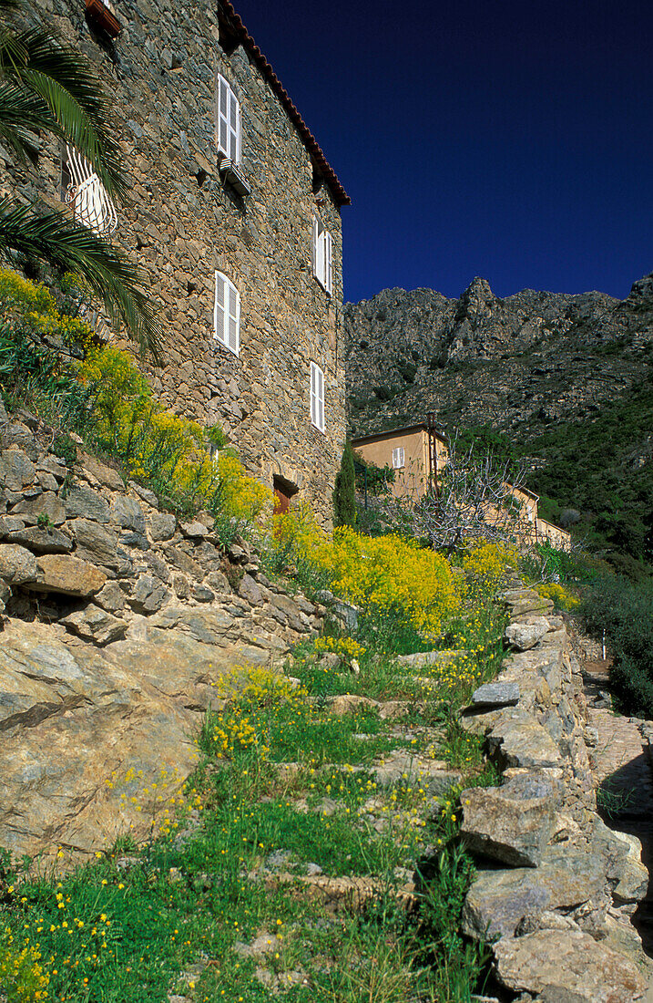 Village Lama, Nebbio, Corsica, France