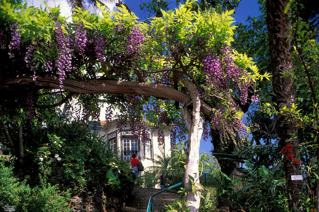 House in botanical garden, Jardim Botanico, Funchal, Madeira, Portugal