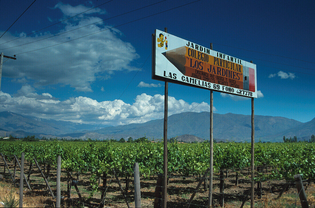 Weinbau, nördlich von Santiago Chile
