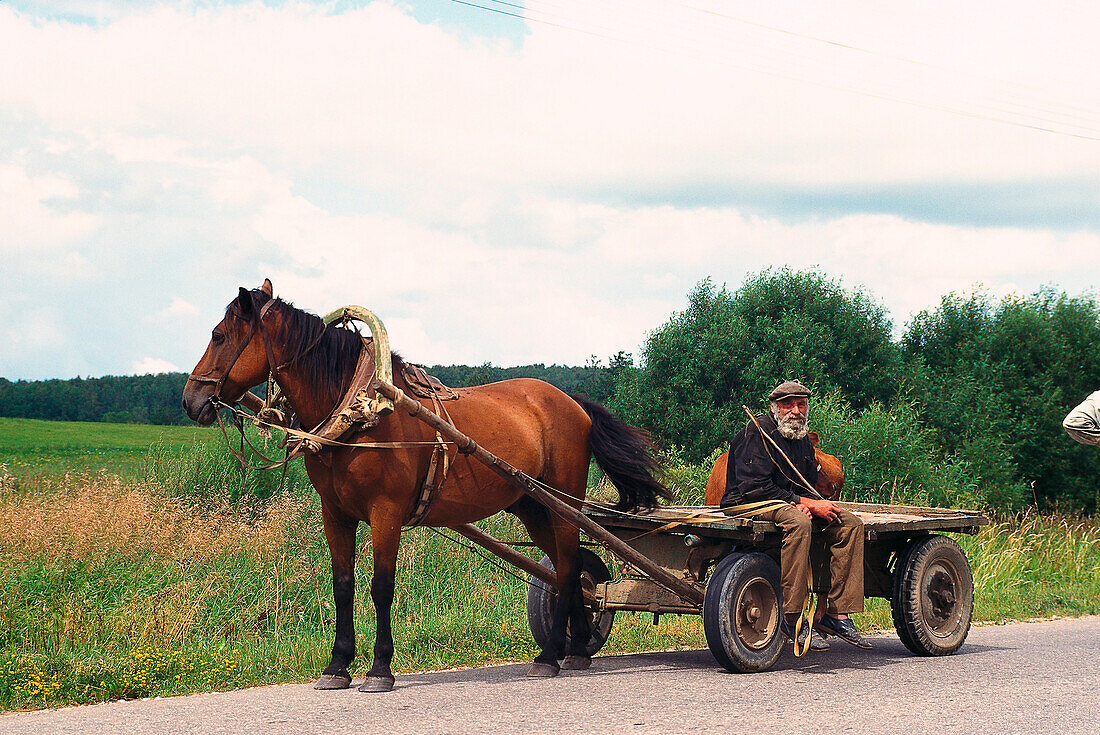 Horse Carriage, Lettland, Baltic States