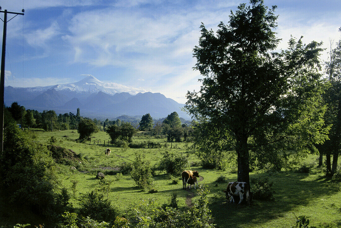 Vulcano Villarrica in an idyllic scenery, Chile