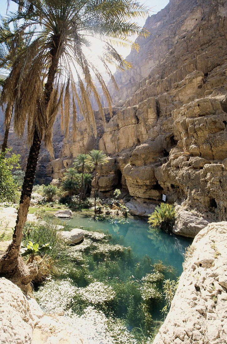 Sunlit bay at Gulf of Oman, Wadi Shab, Oman