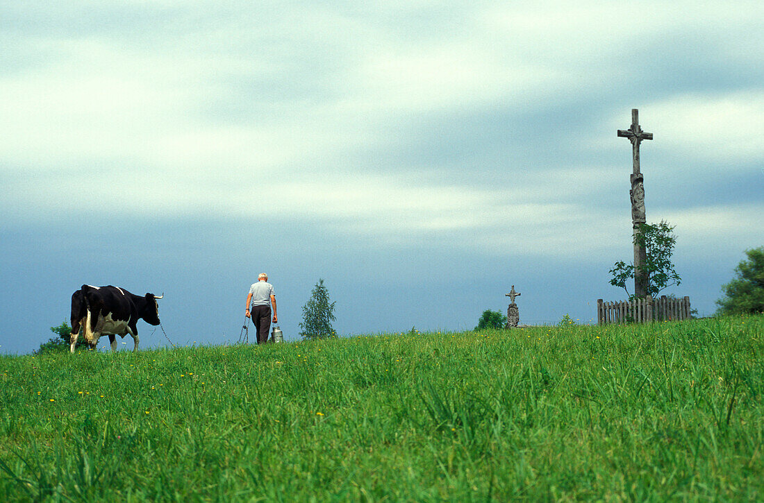 Bauer mit Kuh, Freilichtmuseum, Rumsiskes, Litauen