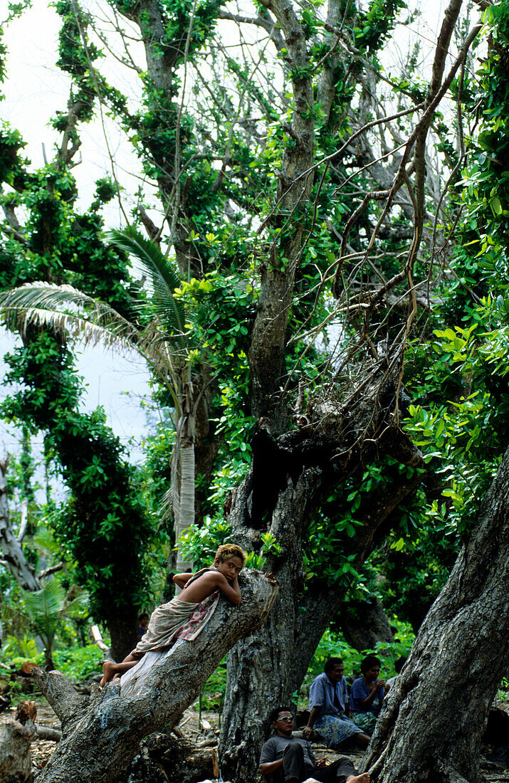 Tree, Child, Tikopia, Temotu Province Solomon Islands, South Pacific