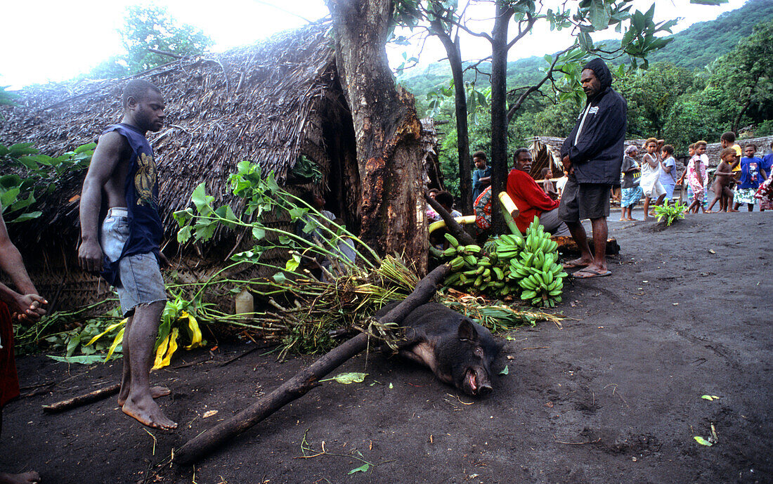 Village Feast Presents, John Frumm Village, Tanna Vanuatu, South Pacific