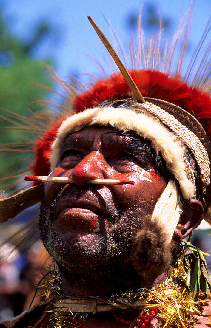 Local man with painted face at the Huli Sing Sing festival, Mt Hagen, Eastern Highlands, Papua New Guinea, Melanesia