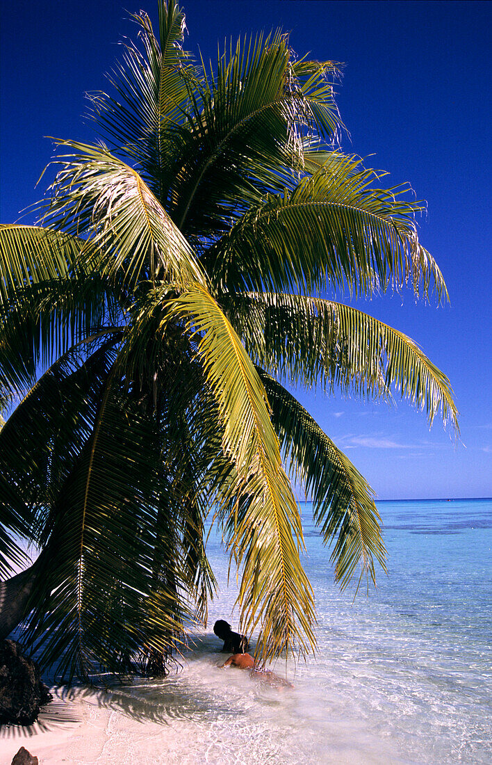 Boy, under palm, Makemo, Tuamotu Islands French Polynesia, South Pacific