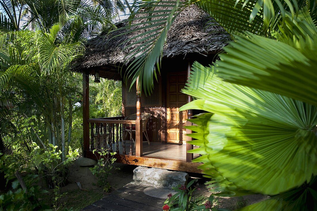 Blick auf ein Holzhaus mit Strohdach und sonnenbeschienene Terrasse im Dschungel