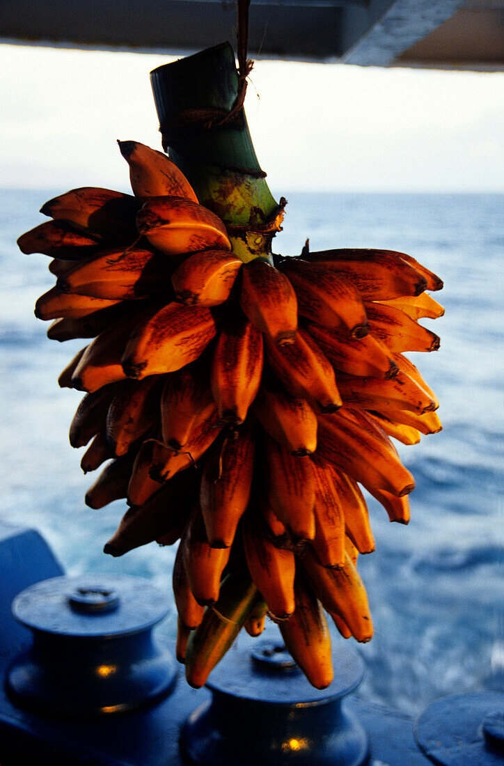 Banana, Ship, Marquesas French Polynesia, South Pacific