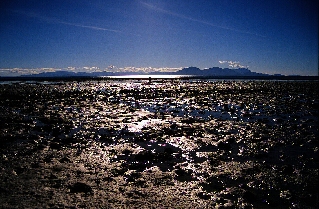 Low tide, Orpheus Island, Tropical North, Queensland, Australia