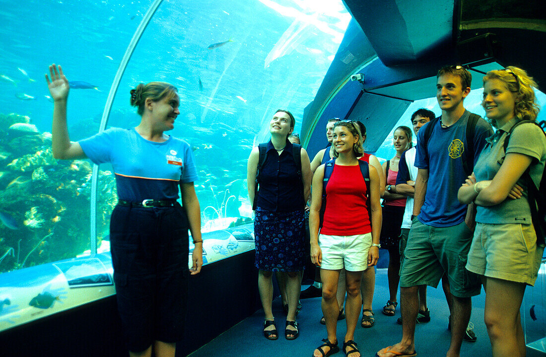 Aquarium, Reef HQ, Townsville Queensland, Australia