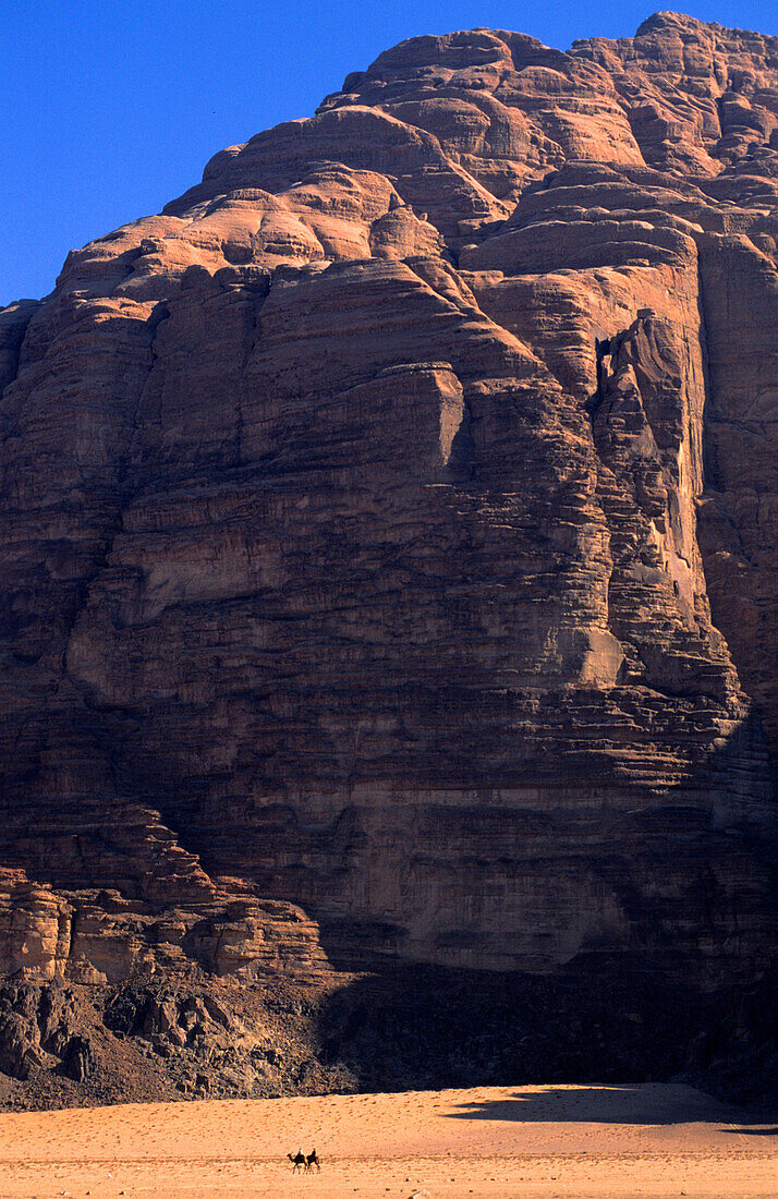 Camel, Mountain, Desert, Wadi Rum Jordan, Middle East