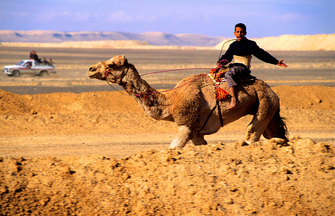 Junge reitet auf Kamel, Wüste in der Nähe von Saudi Arabien, Jordanien, Naher Osten