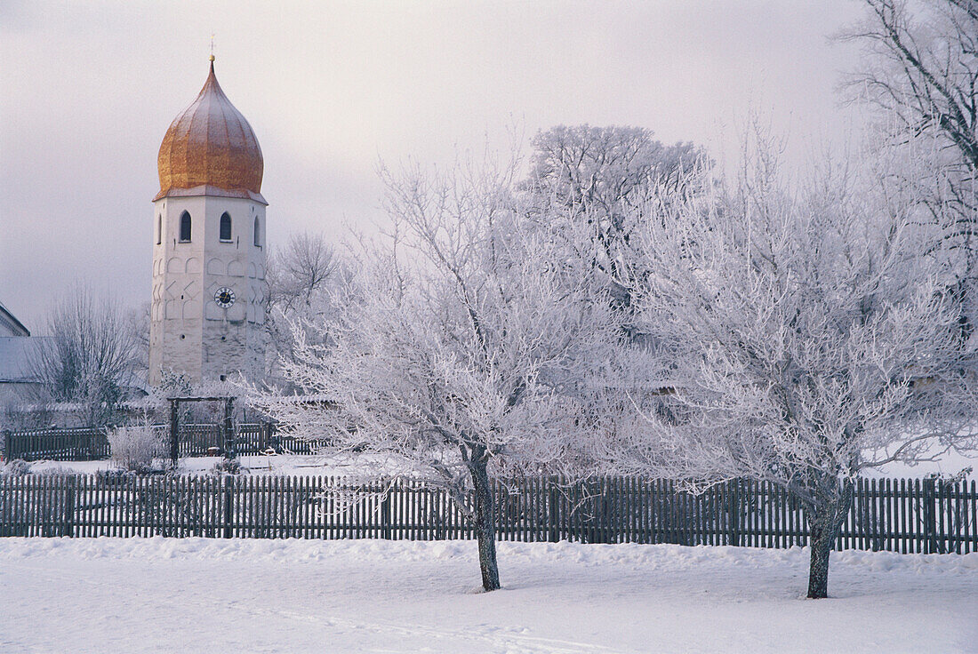 Der Glockenturm steht hinter verschneiten Bäumen auf der Fraueninsel, Chiemsee, Bayern, Deutschland