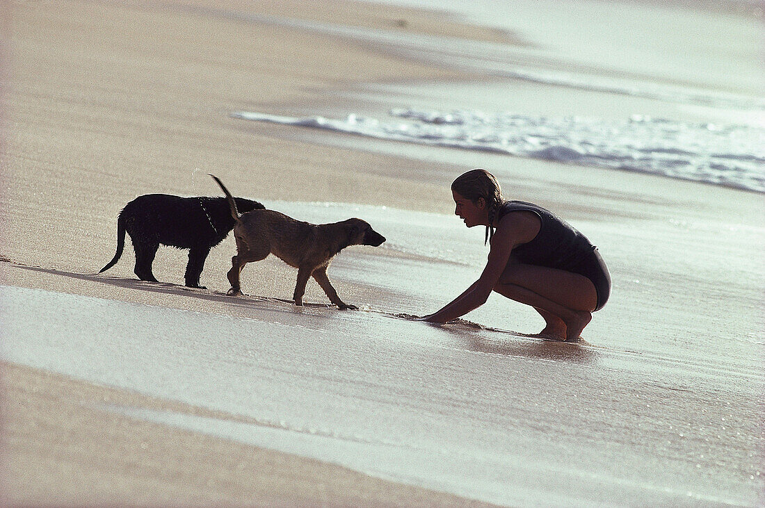 Woman and dogs on the beach, Sunset Beach, Hawaii, USA, America