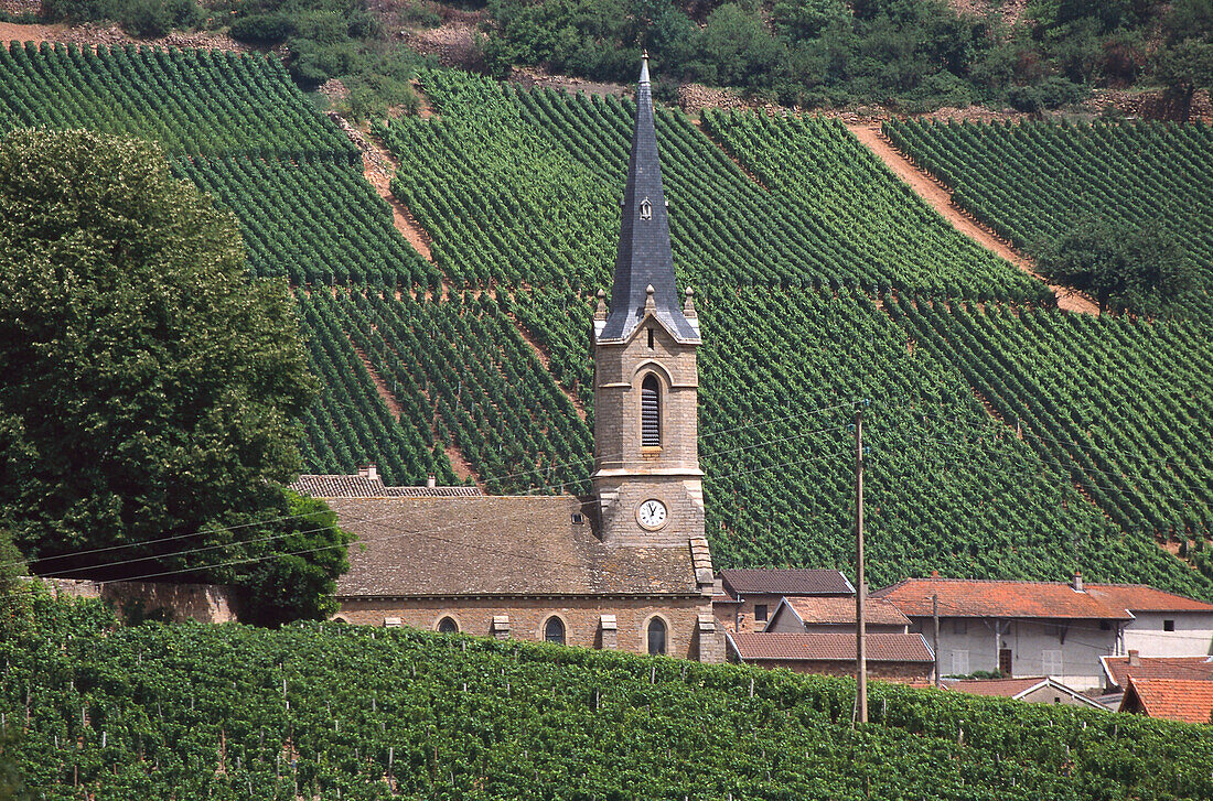 Landscape, Burgundy France