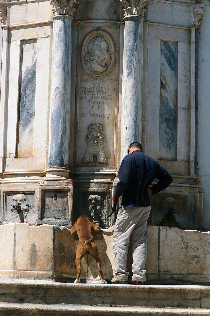 Dog drinking from a fountain, Moura, Alentejo Portugal