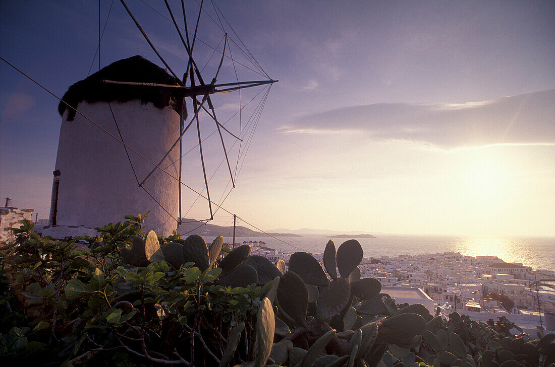 Ano Myli, Windmühle, Mykonos Stadt, Mykonos, Kykladen, Griechenland