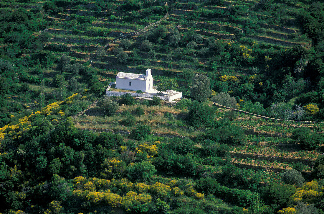 Kleine Kirche in der nähe von Koronos, Naxos, Kykladen, Südliche Ägäis, Griechenland