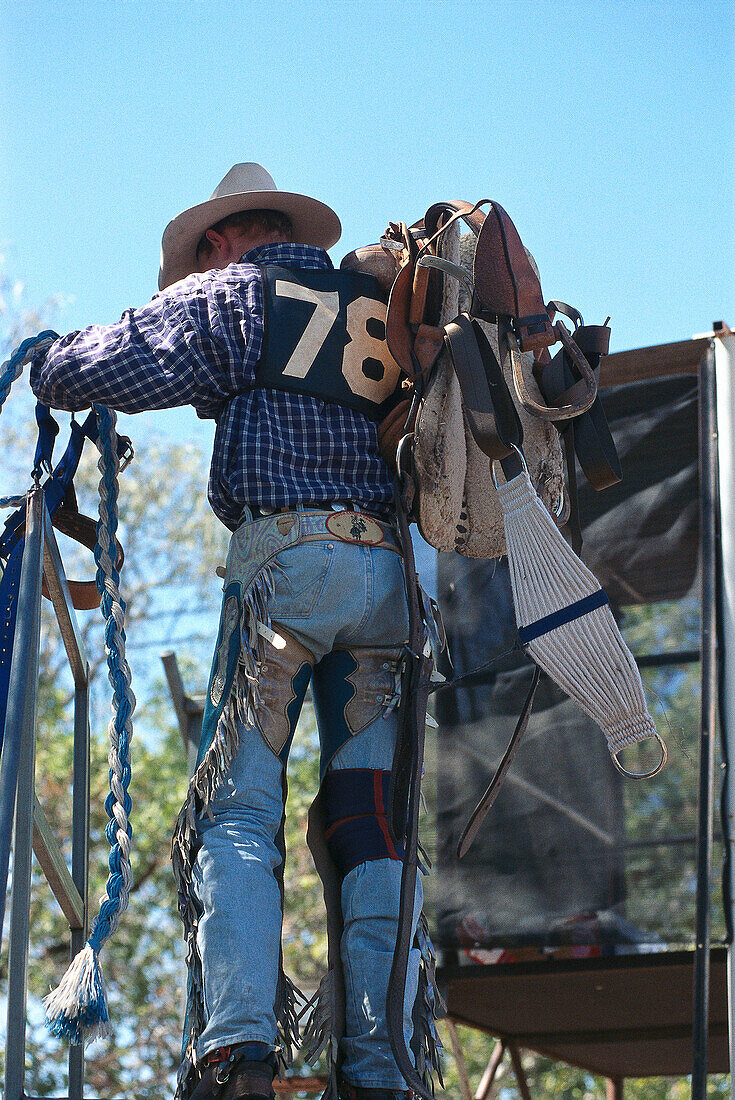 Cowboy, Rodeo, Kununurra, Kimberleys, West Australia Australia