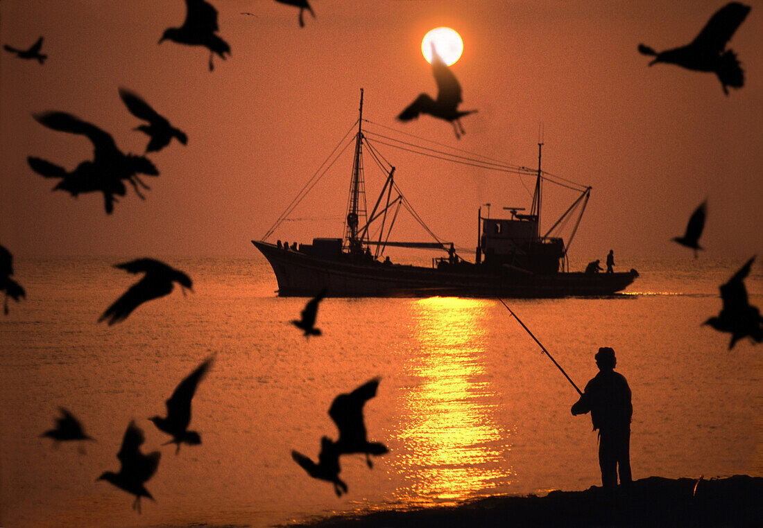 Möwen und Fischerboot auf dem Meer bei Sonnenuntergang, Paphos, Zypern, Europa