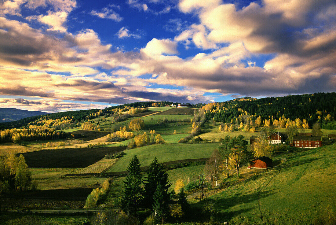 Gudbrandsdalen Valley near Lillehammer, Gudbrandsdalen, Norway, Scandinavia