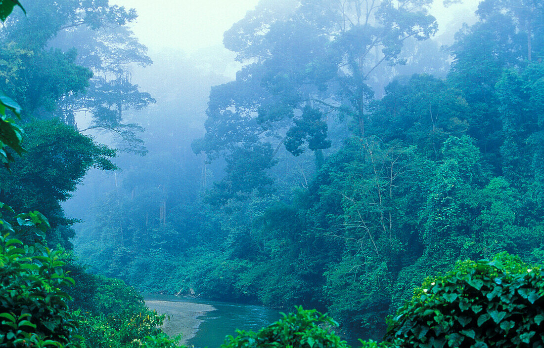 Flussablauf, Regenwald, Borneo, Indonesien, Asien